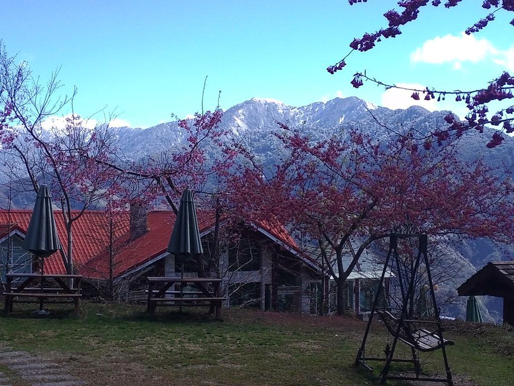 清境豐田桂林山莊民宿 Renai Dış mekan fotoğraf